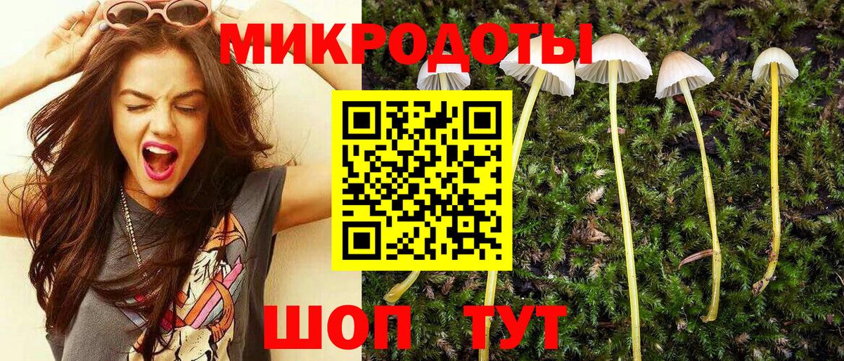 Алексеевка  Галлюциногенные грибы Magic Shrooms  Вход с VPN 